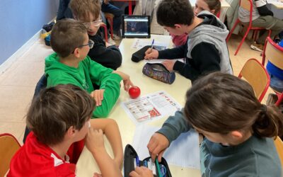 Programme Evars 5èmes